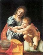 BOLTRAFFIO, Giovanni Antonio The Virgin and Child 1 oil painting reproduction